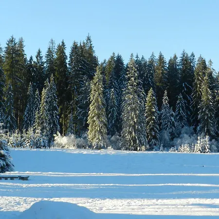 Na Polanie 公寓 Witów