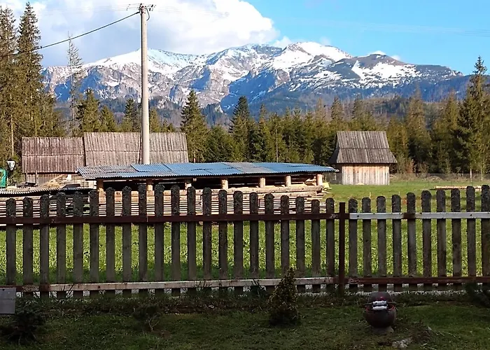 Daire Na Polanie Witów