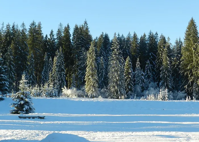 Na Polanie Daire Witów